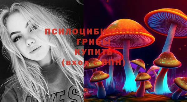 соль курить ск Корсаков