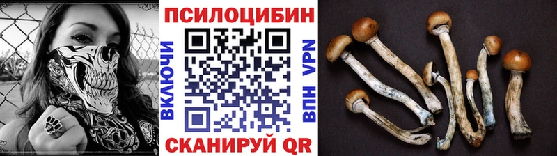 Галлюциногенные грибы Magic Shrooms  Купить закладки  Волосово 