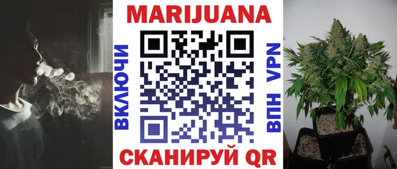 Купить закладки  Волосово  Бошки марихуана гибрид 